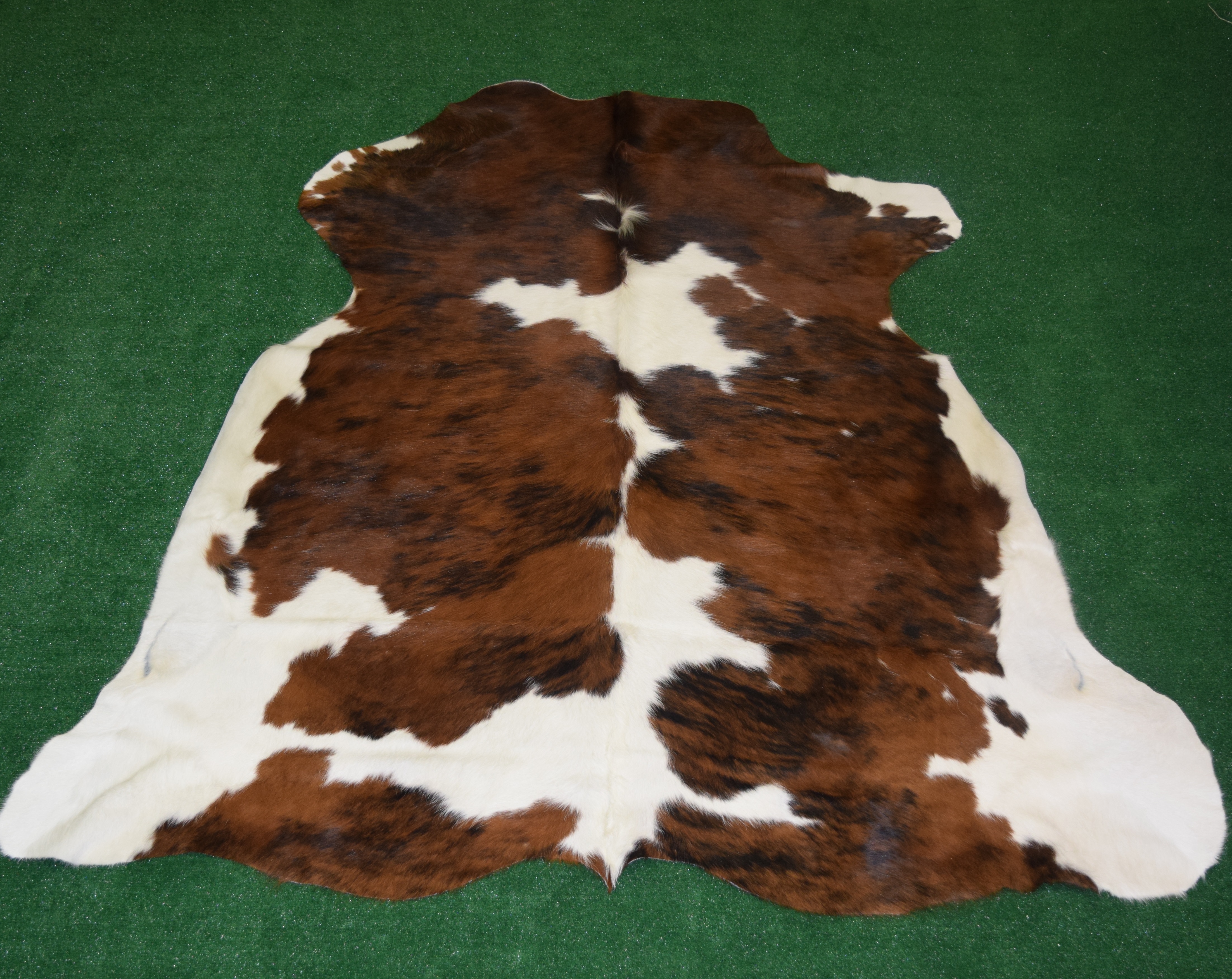 Cowhide Texas Store Inc logo